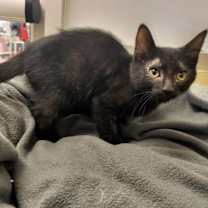 Thumbnail photo of B.C. #2