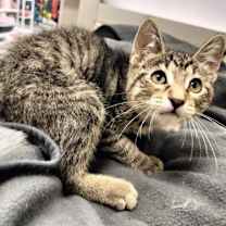 Thumbnail photo of Lake #1