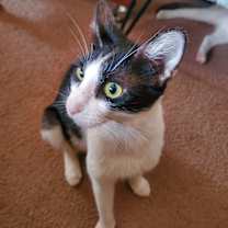 Thumbnail photo of Mama #3