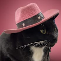 Thumbnail photo of Dolly #4