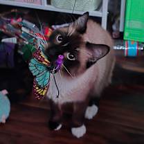 Thumbnail photo of Luna #2