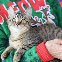 Thumbnail photo of Dakota #2