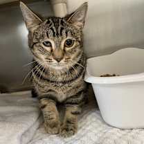 Thumbnail photo of Isla #1