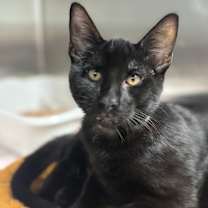 Thumbnail photo of Crew #2