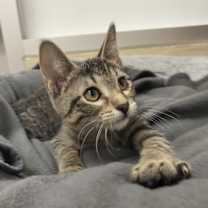 Thumbnail photo of River #3