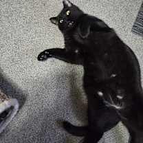 Thumbnail photo of Ry Ry #2