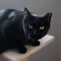 Thumbnail photo of Ry Ry #4