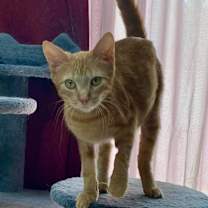 Thumbnail photo of Marge #2