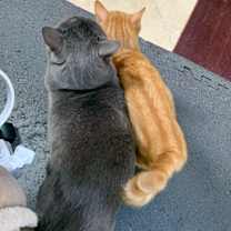 Thumbnail photo of Marge #4