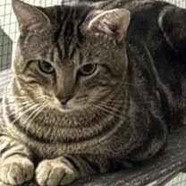 Thumbnail photo of Thumper #1