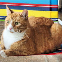 Thumbnail photo of Woodley #4