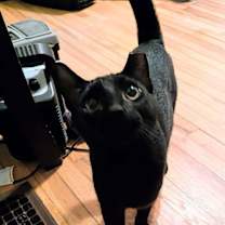 Thumbnail photo of Spencer #1