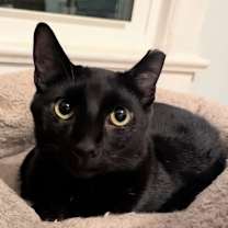 Thumbnail photo of Spencer #2