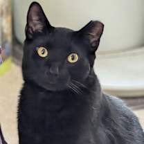 Thumbnail photo of Spencer #3