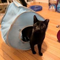 Thumbnail photo of Spencer #4