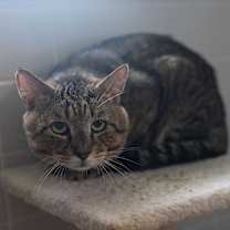 Thumbnail photo of Benjamin Button #1