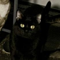 Thumbnail photo of Martin #2