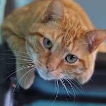 Thumbnail photo of Gary #1