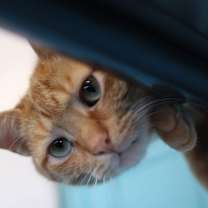 Thumbnail photo of Gary #2