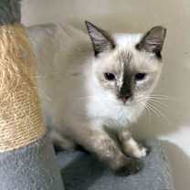 Thumbnail photo of TORY #1