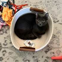 Thumbnail photo of Shirley  #1