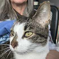 Thumbnail photo of Pepper #4