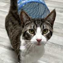 Thumbnail photo of Junior #1