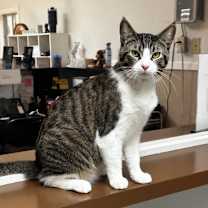 Thumbnail photo of Junior #2