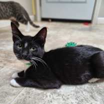 Thumbnail photo of Toffe-Tastic #2