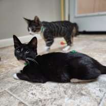 Thumbnail photo of Toffe-Tastic #4