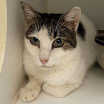 Thumbnail photo of Rachel #4