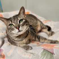 Thumbnail photo of Riri #1