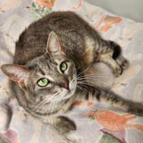 Thumbnail photo of Riri #2