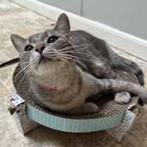 Thumbnail photo of Riri #3