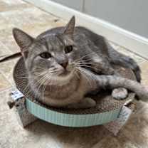 Thumbnail photo of Riri #4