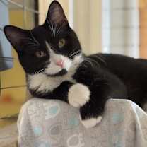 Thumbnail photo of Lucy #1