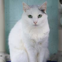 Thumbnail photo of Sally Mae #1