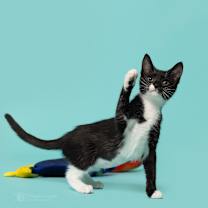 Thumbnail photo of Winnie #4