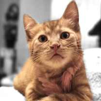 Thumbnail photo of Nick #3