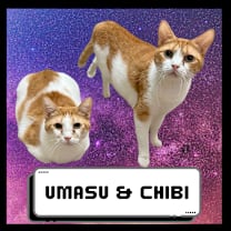 Thumbnail photo of Umasou & Chibi #1