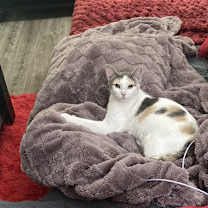 Thumbnail photo of Noelle #1