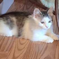 Thumbnail photo of Charlie #3