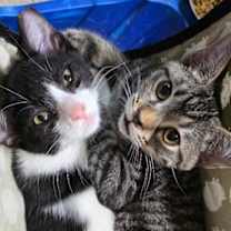 Thumbnail photo of Titan #3