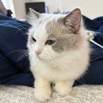 Thumbnail photo of Tiffany #2