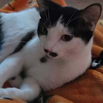 Thumbnail photo of Zena #1