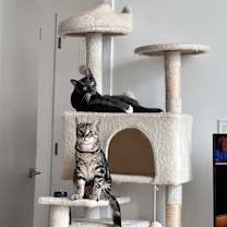 Thumbnail photo of Boots #3