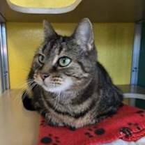 Thumbnail photo of Tessa #2