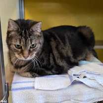 Thumbnail photo of Tessa #3