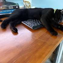 Thumbnail photo of Bing #3