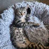 Thumbnail photo of Maxine #1